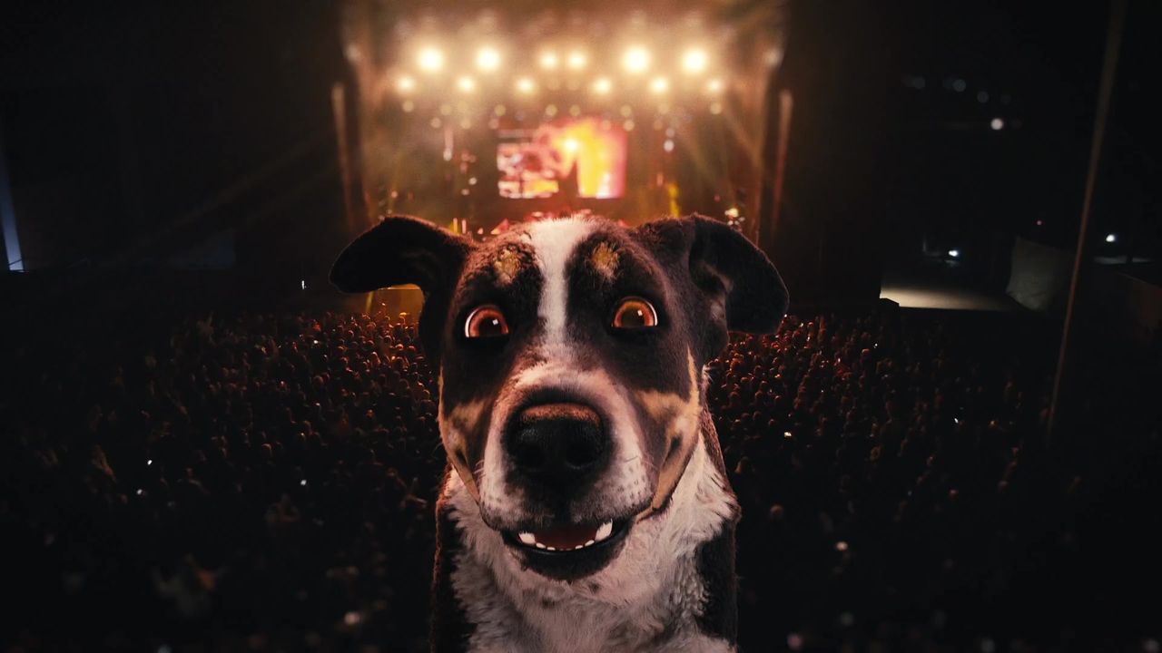 SEZNAM STREAM visual data 5